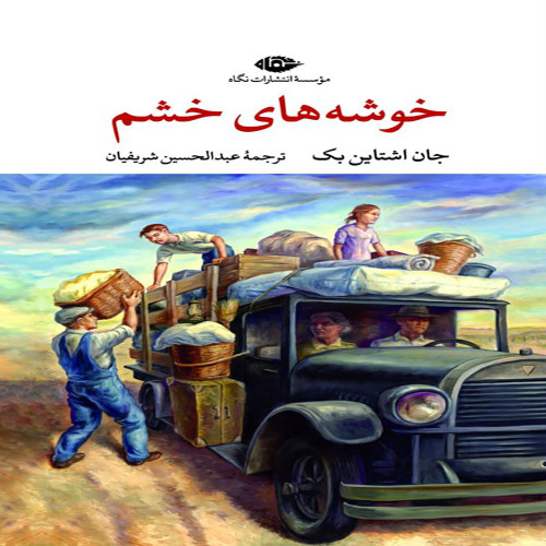 خوشه های خشم